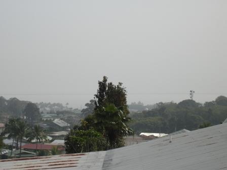Voggy Hilo Day